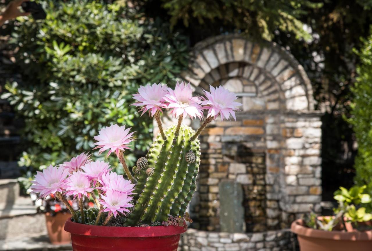 Elatos Country House Bed & Breakfast Portaria  Bagian luar foto